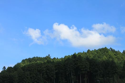 f0084422_1273374.jpg