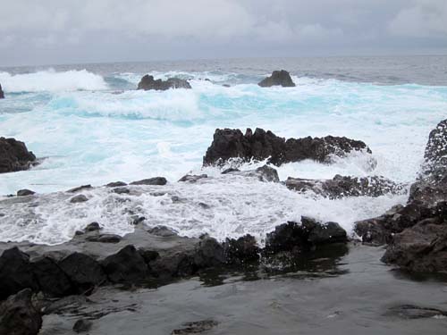 f0147025_23132366.jpg
