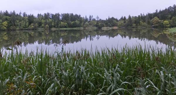 f0147025_23162289.jpg