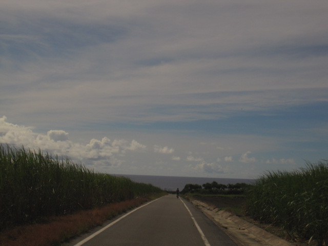 d0088735_2033264.jpg