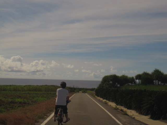 d0088735_20335628.jpg