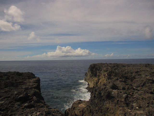 d0088735_20362246.jpg