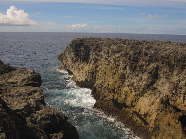 d0088735_20365871.jpg
