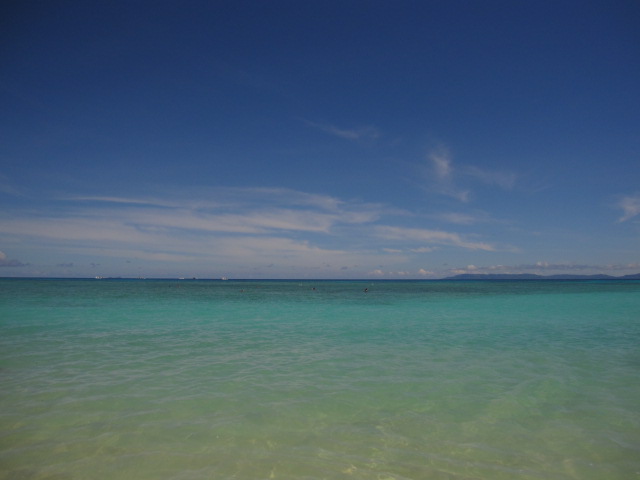 d0088735_2047174.jpg