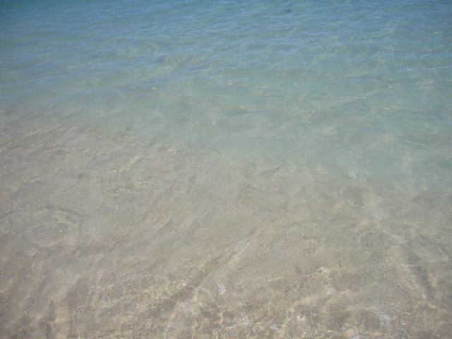 d0088735_20511028.jpg