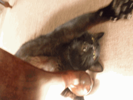 c0136736_10383870.gif