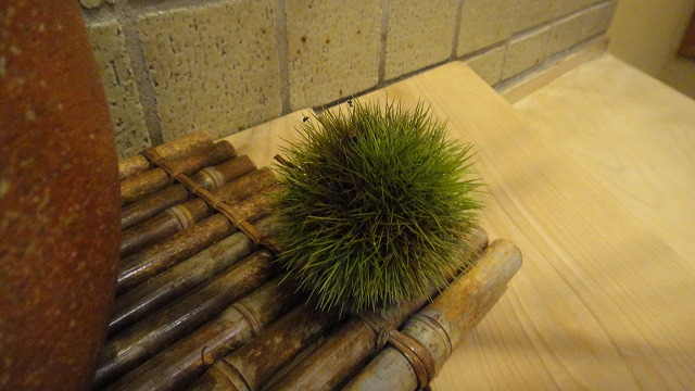 f0208737_9201550.jpg