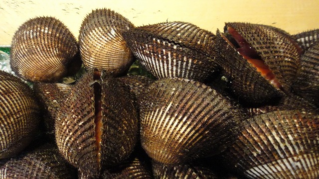 f0208737_9202587.jpg