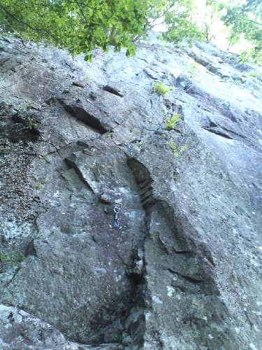d0107938_11451621.jpg