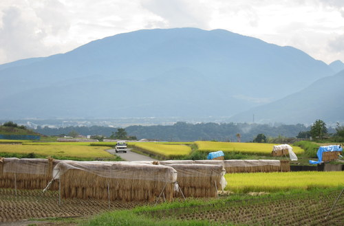 b0178339_20303294.jpg