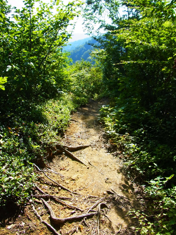 b0190242_2057099.jpg
