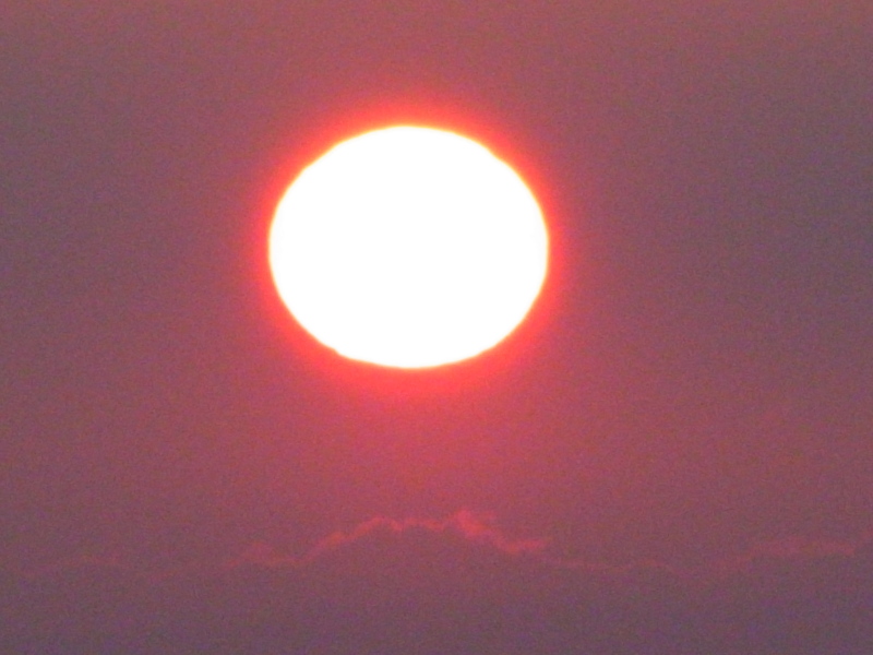 b0190242_21193987.jpg