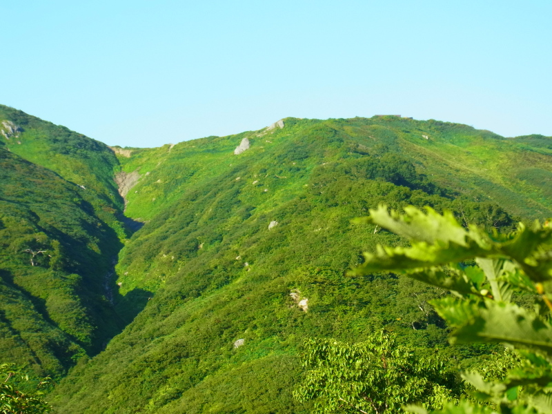 b0190242_21254355.jpg