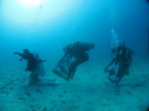 e0027447_20354339.jpg