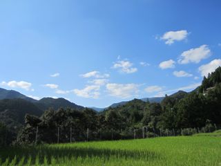 a0054948_1681556.jpg