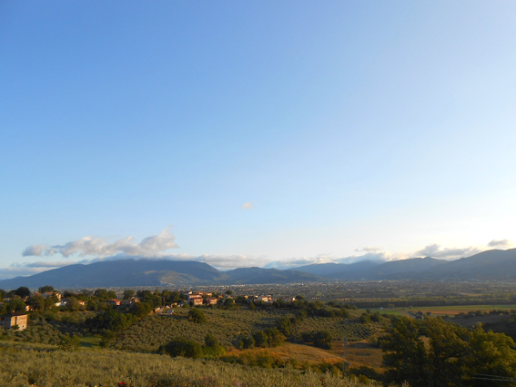 f0178153_1514210.jpg