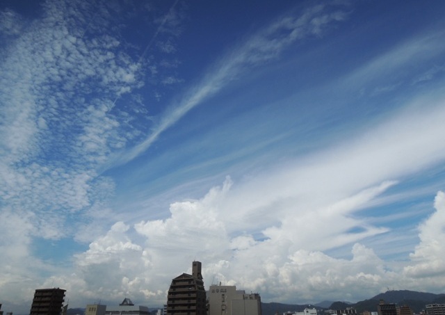 b0173754_12275797.jpg