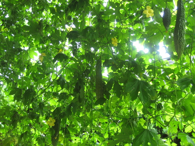 c0238354_10161316.jpg