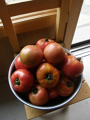 f0035962_1536075.jpg