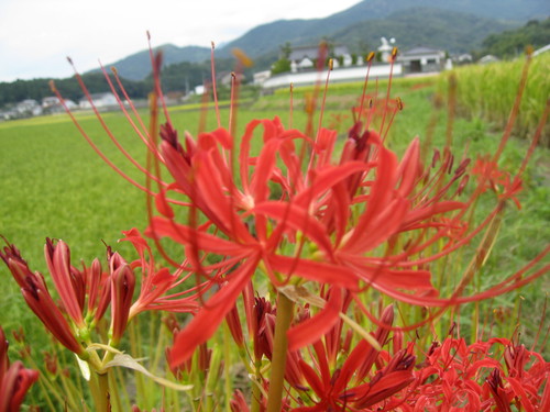 b0267163_12314392.jpg