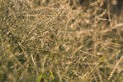 a0157069_7353911.jpg