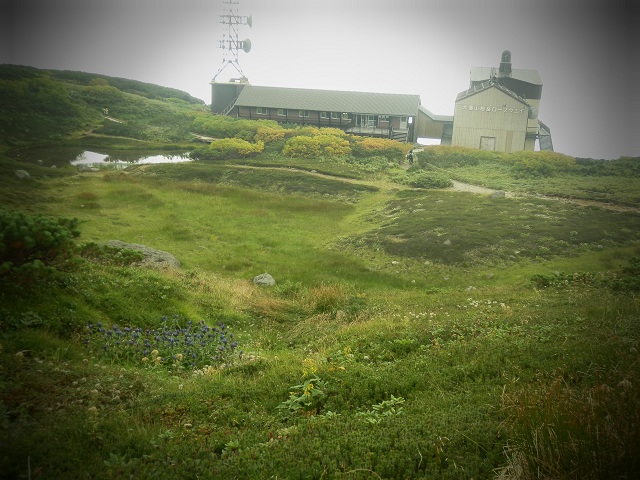 c0042869_10395824.jpg
