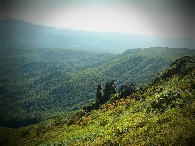 c0042869_5594343.jpg