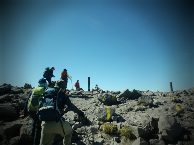 c0042869_60566.jpg