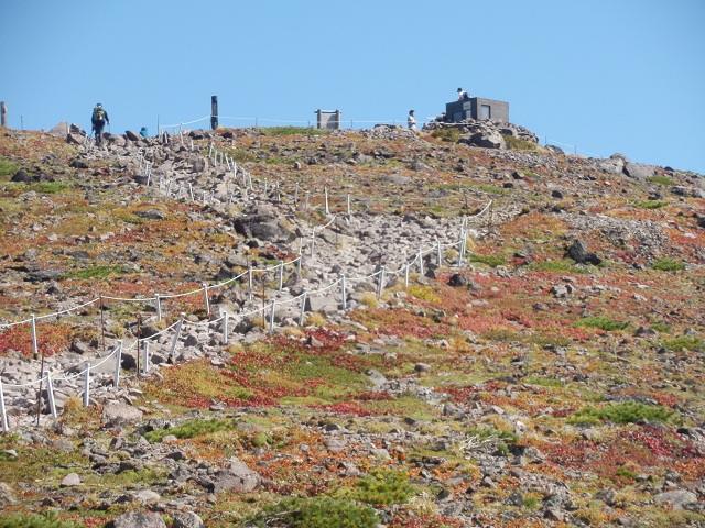 c0042869_65989.jpg