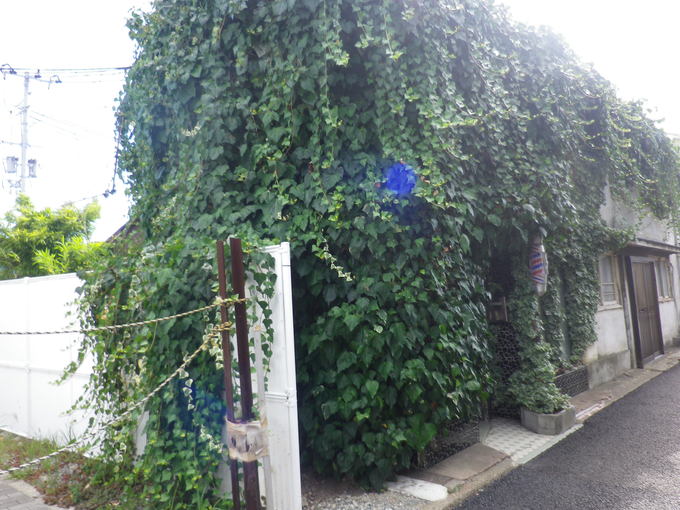 e0143671_10313685.jpg
