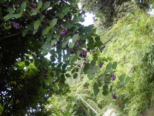 e0292172_20383611.jpg