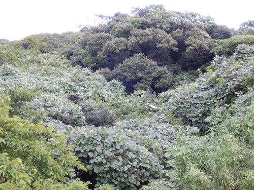 e0292172_20425570.jpg