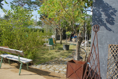 d0239677_10444029.jpg