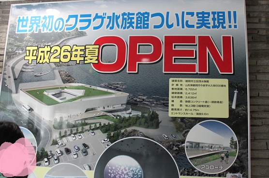 f0230777_2036505.jpg