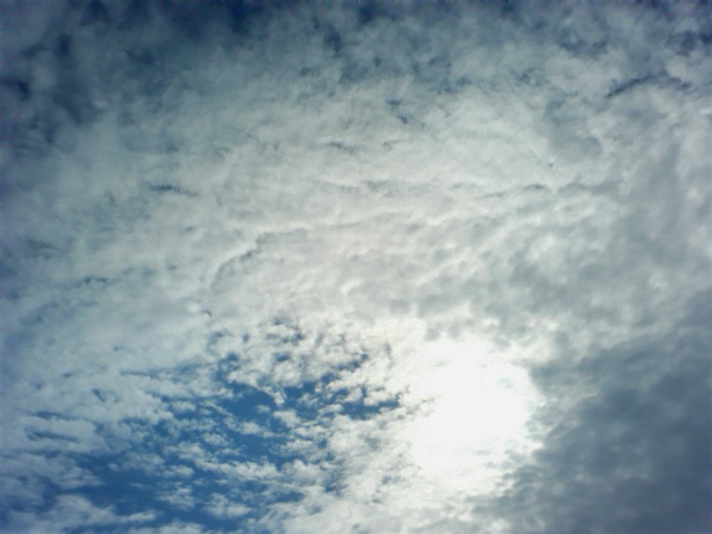 a0265287_14212273.jpg