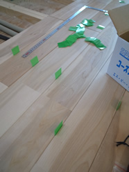 c0042989_16393541.jpg