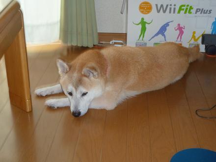c0123890_15511390.jpg