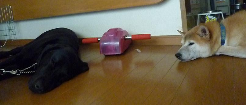 c0123890_1554231.jpg