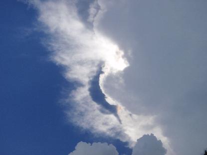e0077899_934993.jpg