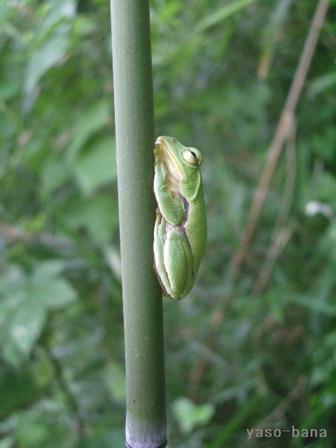 e0025300_13302760.jpg