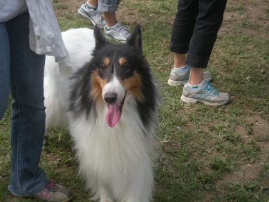 f0081100_9483358.jpg