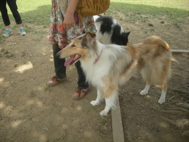 f0081100_9492238.jpg