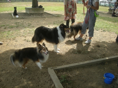 f0081100_950464.jpg