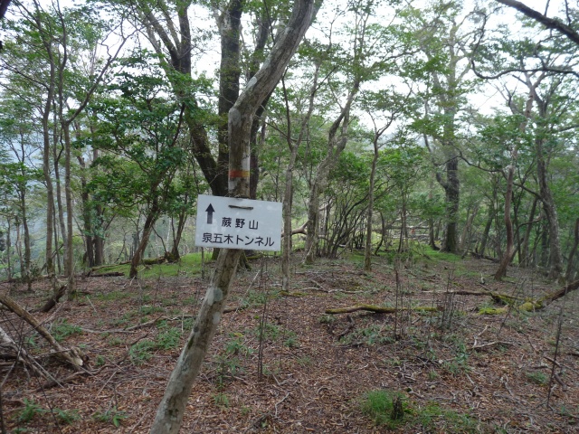 b0025101_2323325.jpg