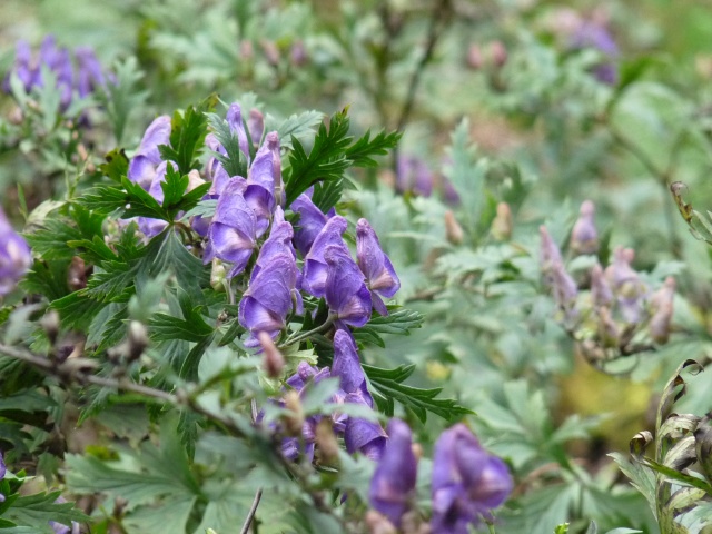 b0025101_23355747.jpg