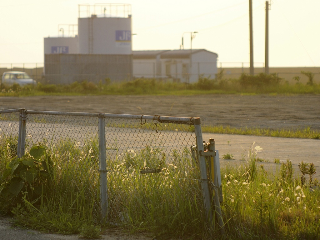 b0138101_612578.jpg