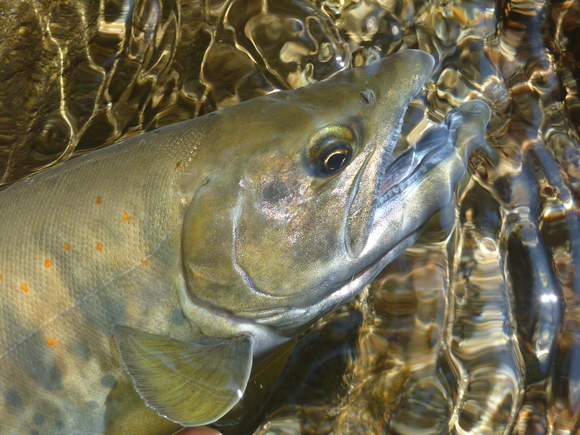 b0229003_2050912.jpg