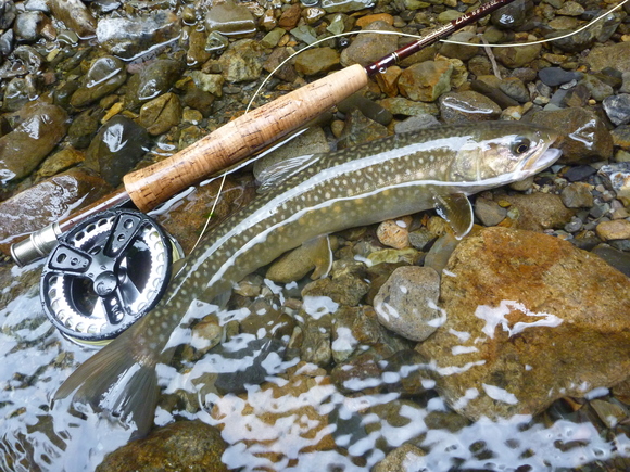 b0229003_21213592.jpg