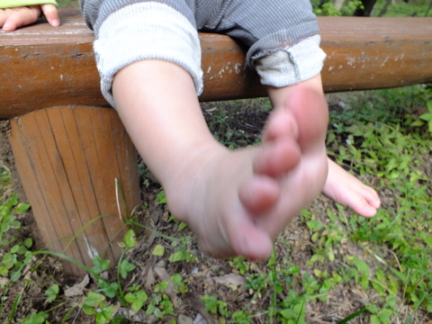 f0006208_15175320.jpg