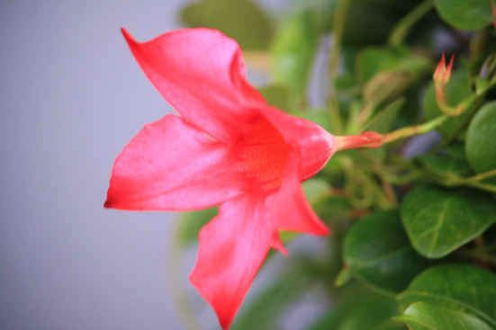 d0154609_1143564.jpg